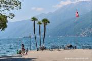Top Ascona Top Ascona
