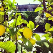 Top San Pietro in Cariano