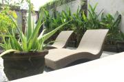 Top Ubud