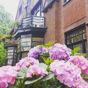 Vakantiewoning Guesthouse MOMO Vakantiewoning Guesthouse MOMO