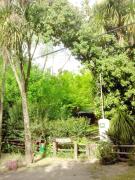 Top Tandil
