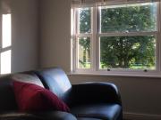 Top Oxford Top Oxford