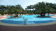 Top Punta Blanca