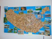 Top Machico