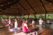 Top Ubud