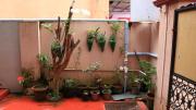 Top Cochin