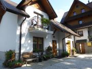 Top Koninki Top Koninki