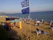 Angelique Apartments