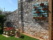 Top Umag