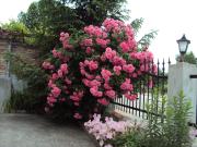 Amfora Guest House