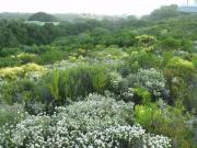 Top Natureʼs Valley