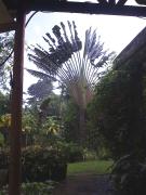 Top El Hoyo del Cacao