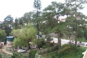 Top Da Lat