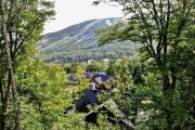 Top Stoneham