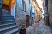 Top Assisi