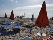 Top Cesenatico