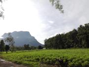 Top Chiang Dao