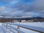 Top Chittenden