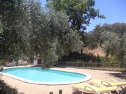 Top São Cristóvão Top São Cristóvão