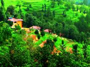 Top Kausani