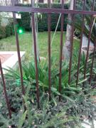 Top Aci SantʼAntonio