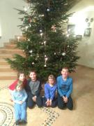 Top Nussdorf am Attersee