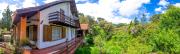Top Monte Verde