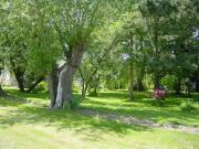 Top Agon Coutainville