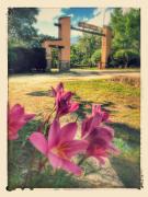 Top Madrigal de la Vera