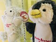 Top Punta Arenas Top Punta Arenas