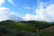 Top Gaiole in Chianti