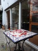 Top Zagreb Top Zagreb