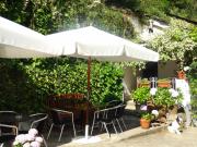 Top Cangas del Narcea