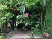 Top Morere Top Morere