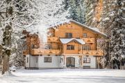 MEINE HEIMAT - Apartments in Ramsau bei Schladming - Skigebiet AMADE
