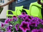 Pipowagen Minicamping De Linde