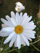 Top Jarandilla de la Vera