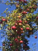 Top Neumarkt in der Oberpfalz