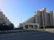 Top Algarrobo Top Algarrobo