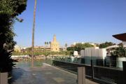 Top Seville