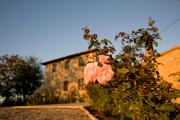 Villa il Castagno Wine & Resort