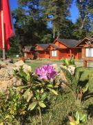 Top Caburgua Top Caburgua