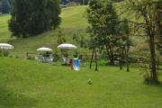 Top Aprica