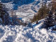 Top Rosswald Top Rosswald