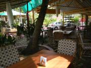 Top Agonda