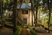 Top Binsar