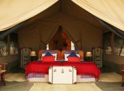 Olengoti Eco Safari Camp