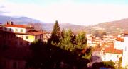 Top Barga