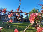 Top Sierra de la Ventana