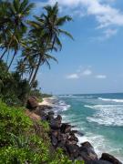 Wine Tree Garden Guesthouse